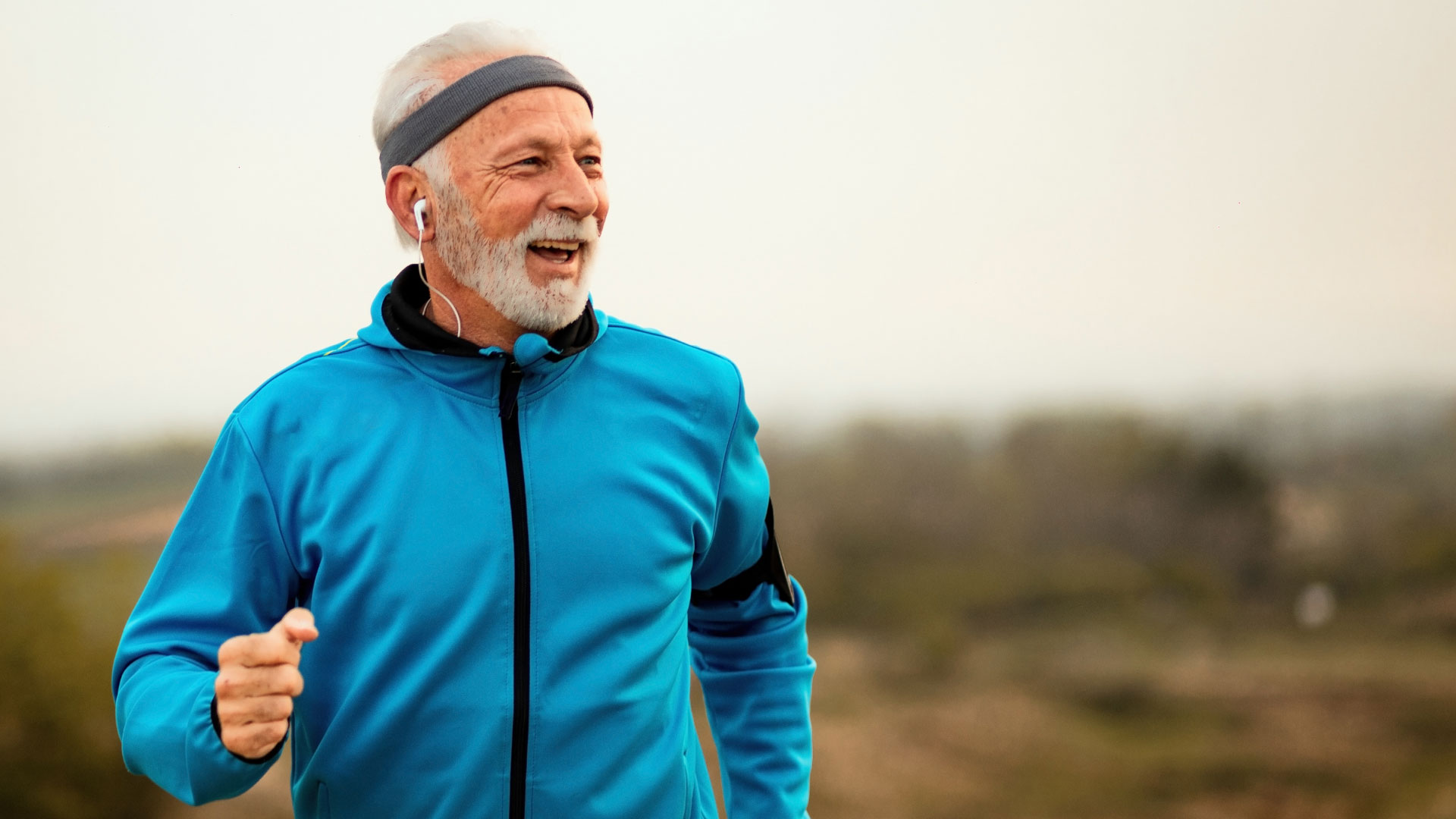 Root of Absorption – Science + Tradition for Spleen Strength